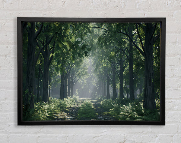 Road To The Forest Framed Print
