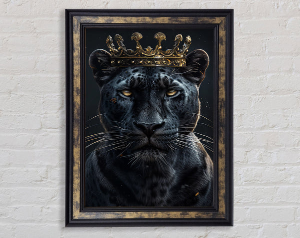 Royal Jaguar Framed Print