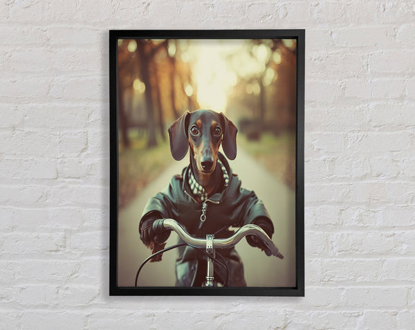 Sausage Dog Riding Bike Framed Print