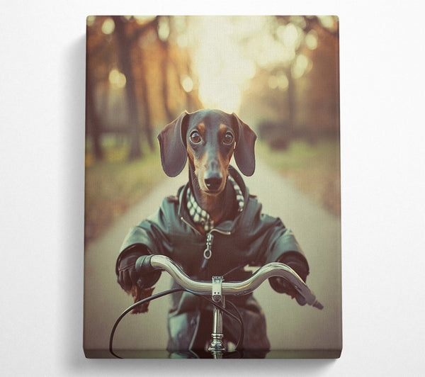  A Canvas Print of Sausage Dog Riding Bike Canvas Art