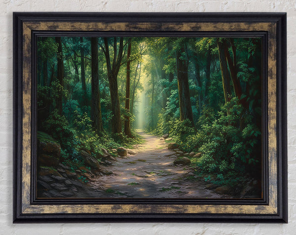 Scenic Walk Wood Framed Print