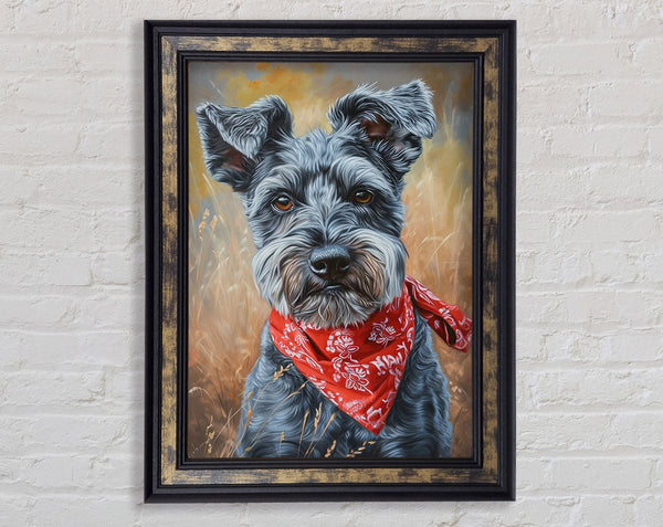 Schnauzer Bandana Framed Print