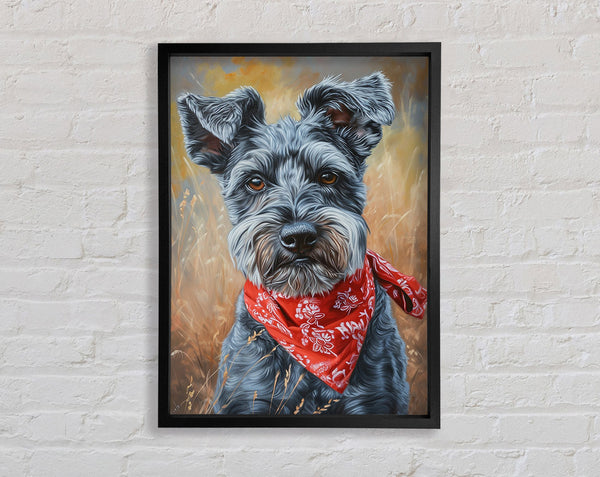 Schnauzer Bandana Framed Print