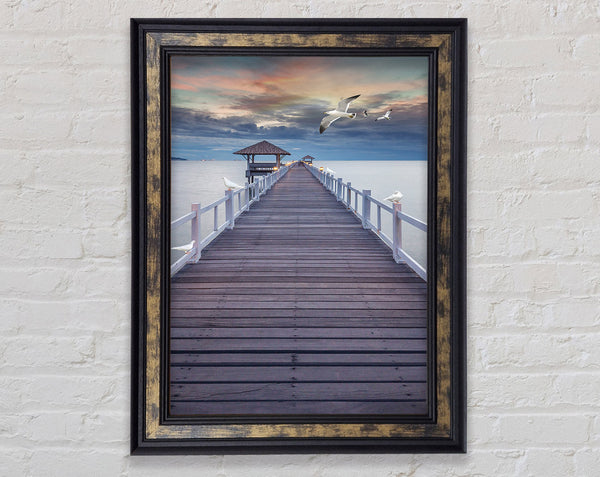 Seagulls  Board Walk Framed Print