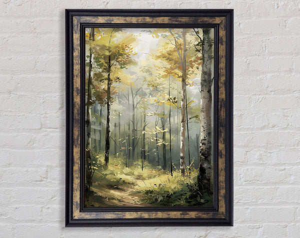 Serenity Woodland Framed Print