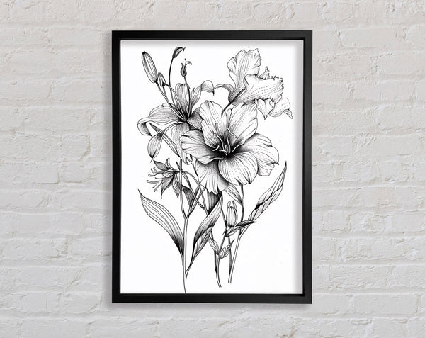 Sketch Flower Framed Print