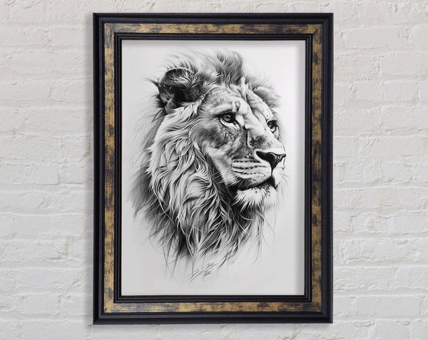 Sketch Of A Lion Framed Print