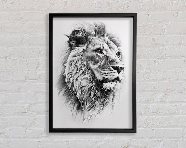 Sketch Of A Lion Framed Print