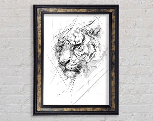 Sketch Tiger Framed Print