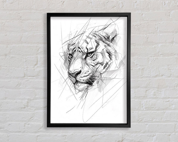 Sketch Tiger Framed Print