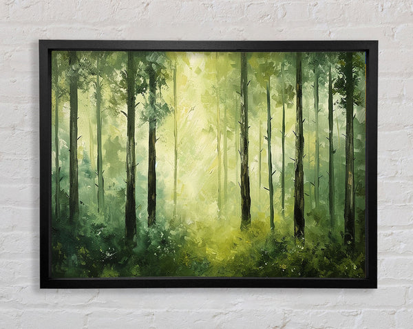 Slender Trees Framed Print