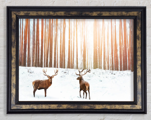 Stag Forest Snow Framed Print