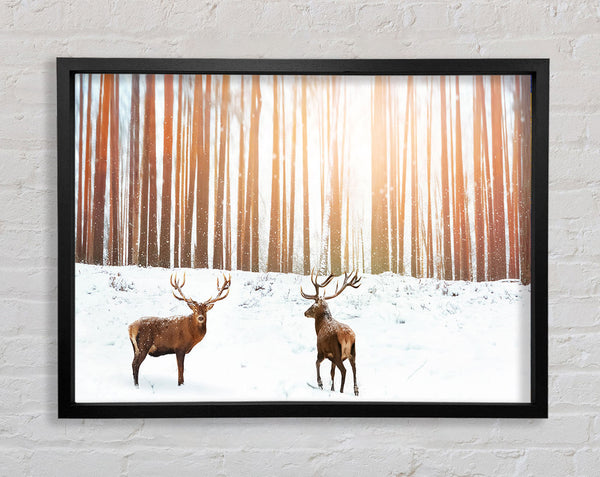 Stag Forest Snow Framed Print