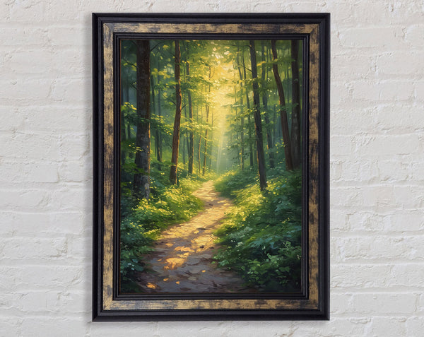Sun Peeping Through The Forest Framed Print