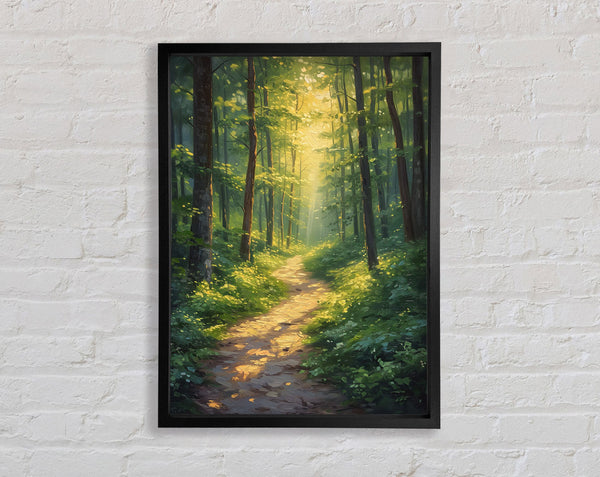Sun Peeping Through The Forest Framed Print