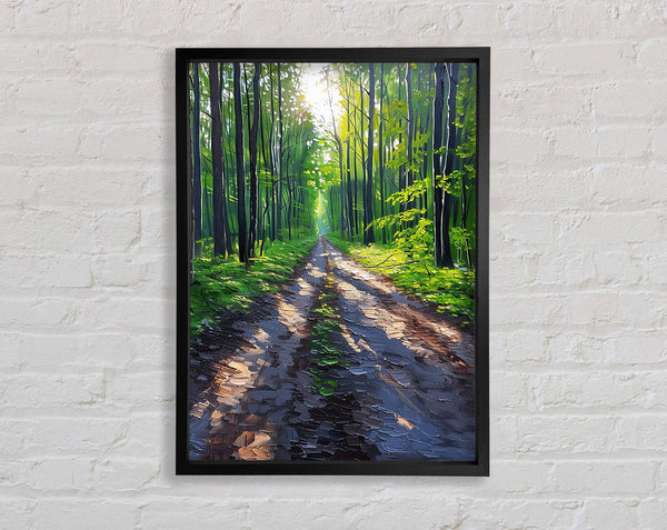 Sun Trail Framed Print