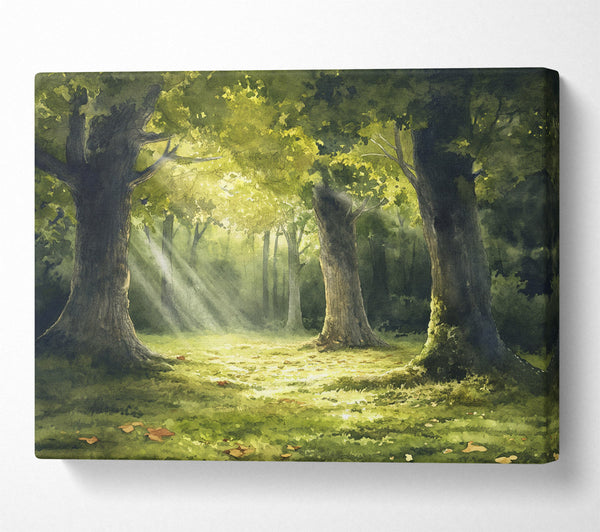  A Canvas Print of Sunlight Through The Trees Canvas Print