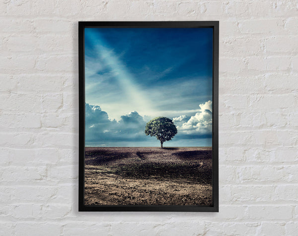 Sunray On A Tree Framed Print