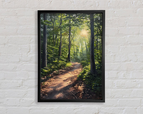Sunrays Through The Woods Framed Print