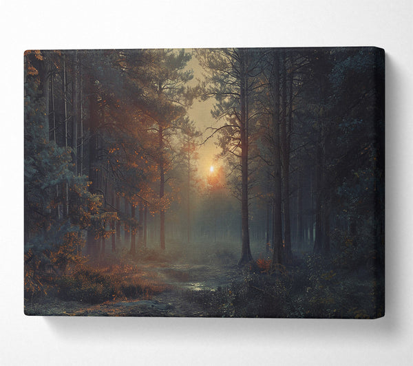  A Canvas Print of Sunrise Mist Canvas Print