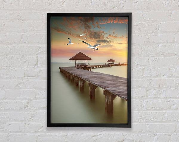 Sunset Walkway And Seagulls Framed Print