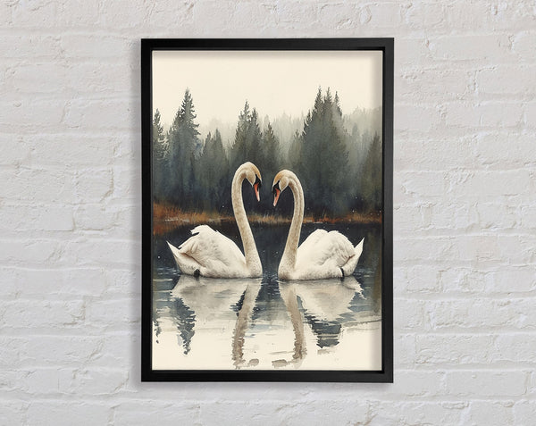 Swan Family Framed Print