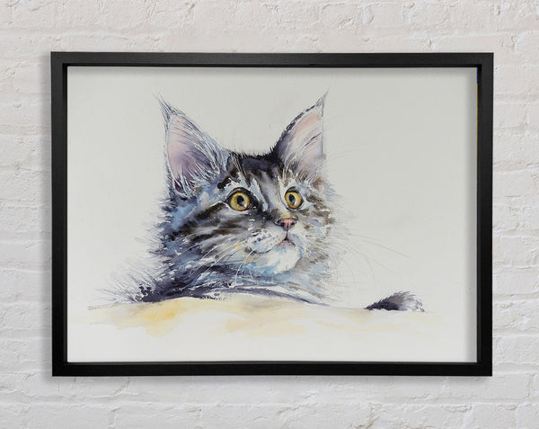 Tabby Long Hair Framed Print