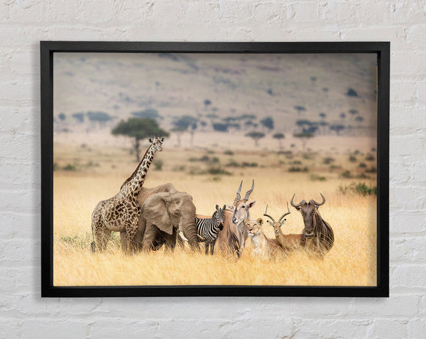 The African Pack Framed Print