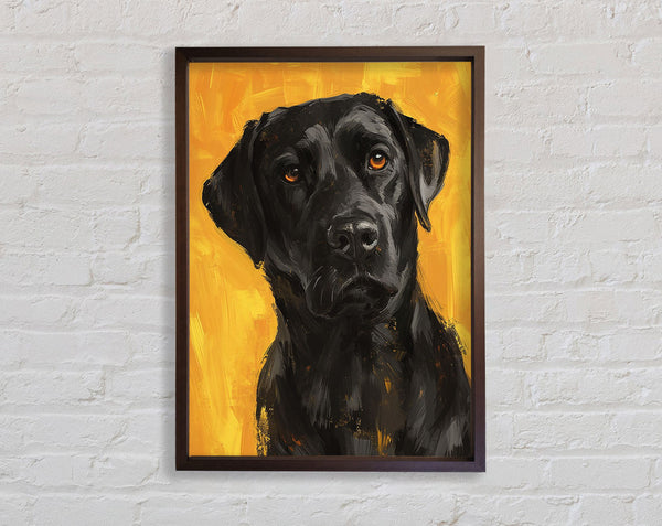 The Walnut Labrador Stare Framed Print