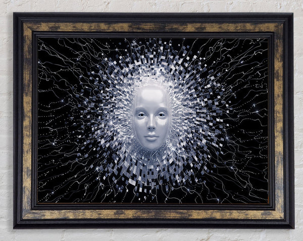 The Face Of Ai Framed Print