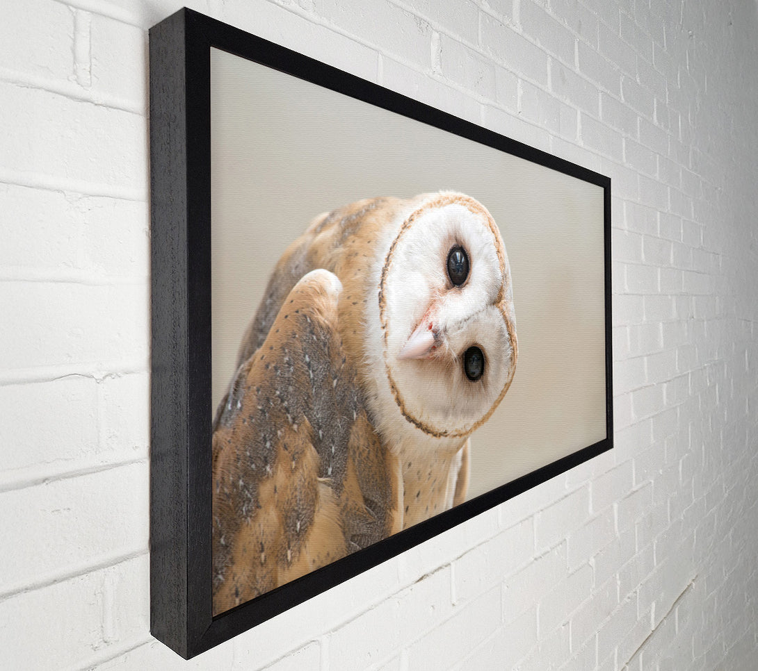  A Canvas Print of The Owl Turn Canvas Wall Art