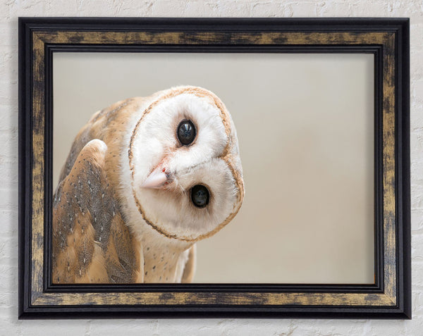 The Owl Turn Framed Print