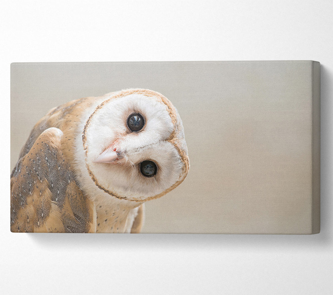  A Canvas Print of The Owl Turn Canvas Wall Art