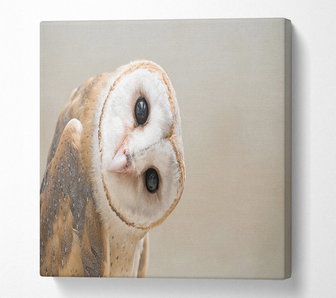  A Canvas Print of The Owl Turn Canvas Wall Art
