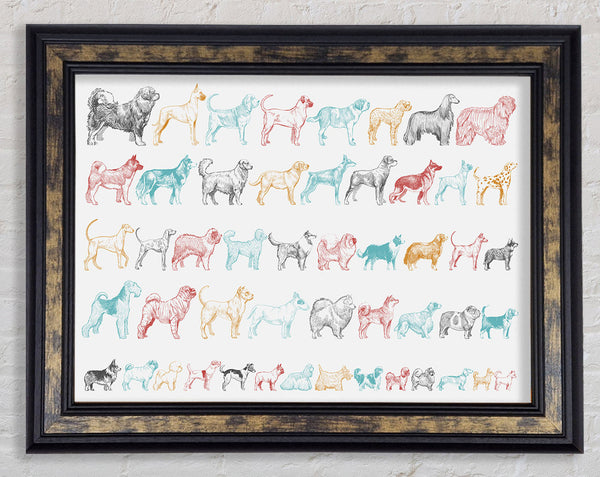 The Pack Of Dogs Framed Print