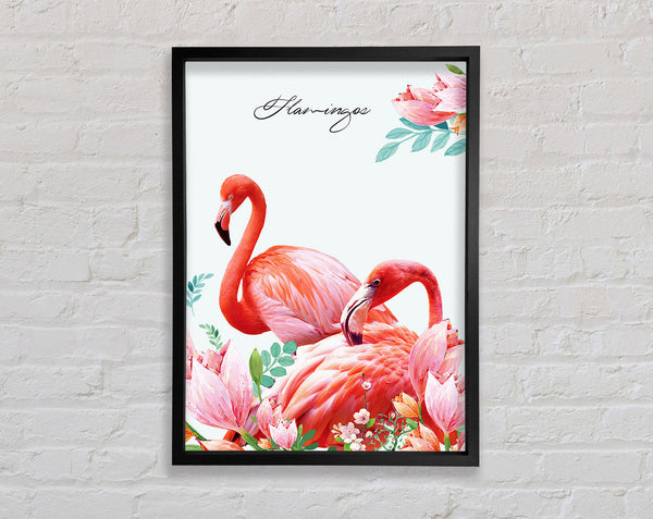 The Two Flamingos Framed Print