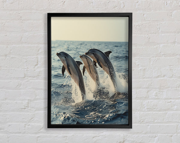 Three Dolphins Framed Print