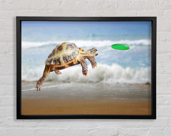 Tortoise Firsbee Framed Print