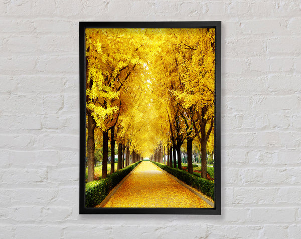 Tree Tunnel Framed Print