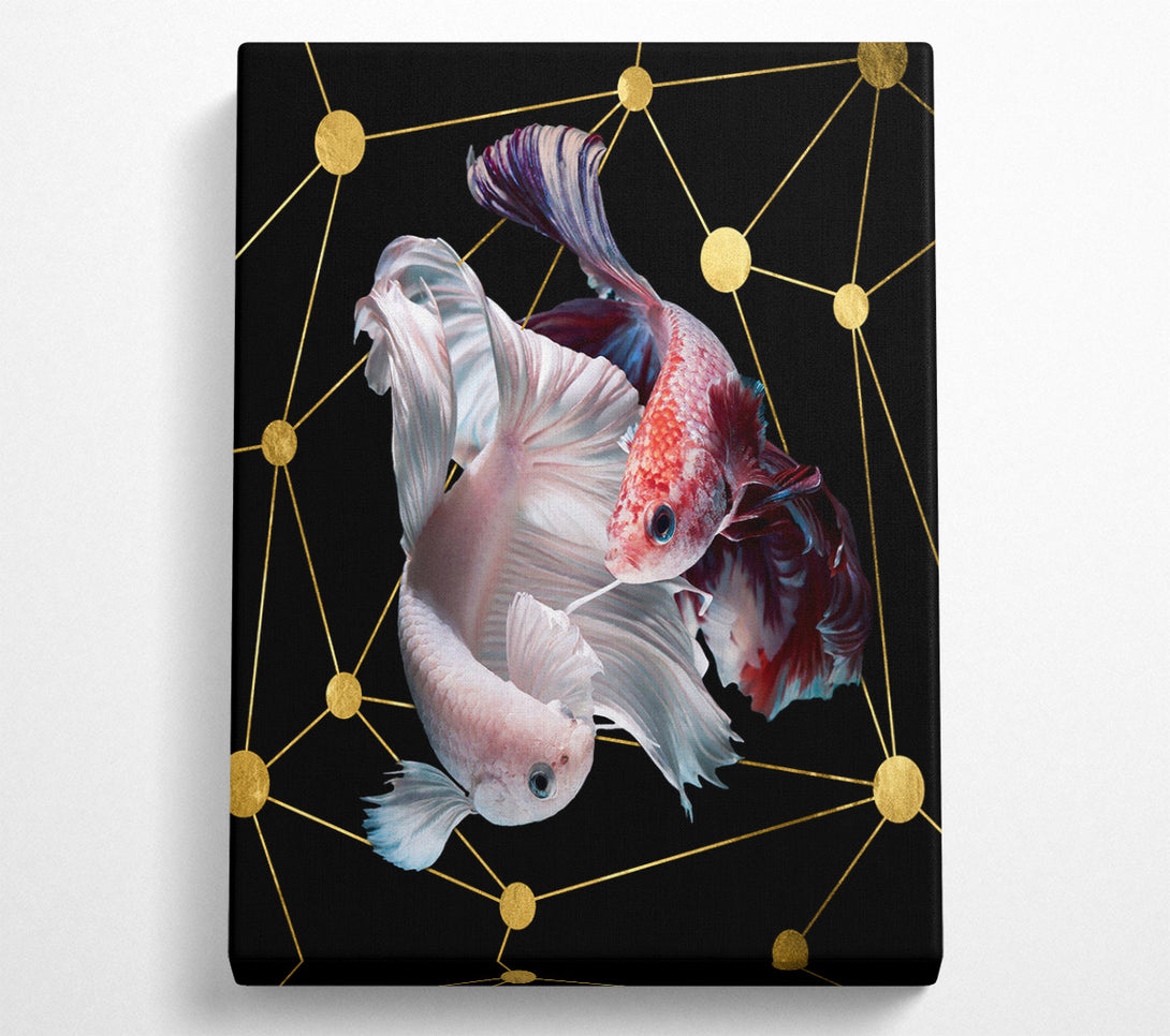  A Canvas Print of Two Fish Swimming  Golden Spots Canvas Print