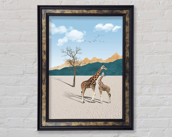 Two Giraffes In Desert Framed Print