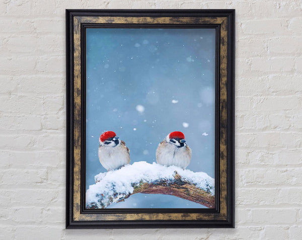 Two Sparrows Framed Print