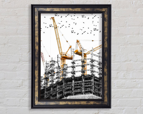Two Yellow Cranes Framed Print