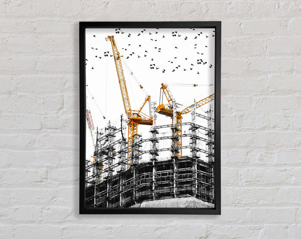 Two Yellow Cranes Framed Print