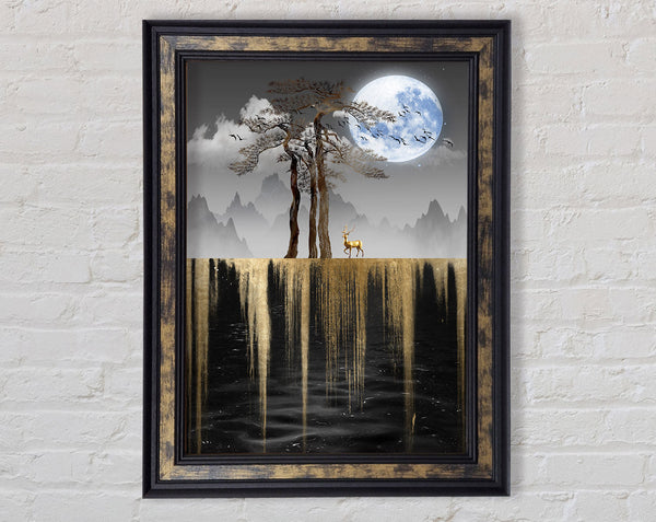 Undergrowth Night Framed Print