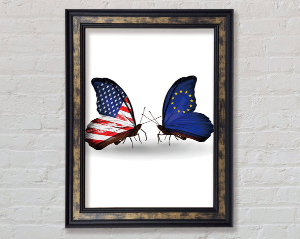 Usa And Eu Butterflies Framed Print