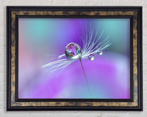 Water Droplet Framed Print