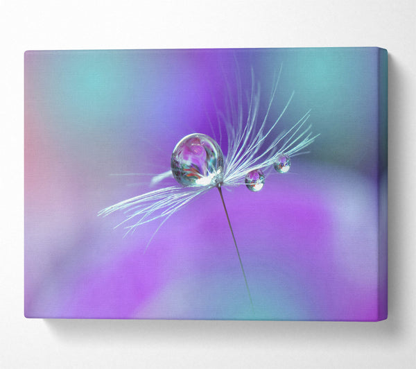  A Canvas Print of Water Droplet Canvas Art