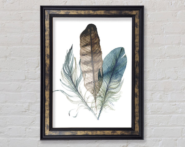 Watercolour Feathers Framed Print