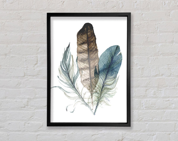Watercolour Feathers Framed Print